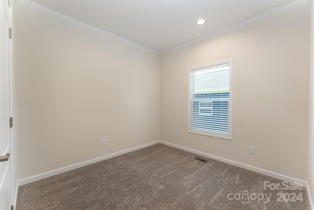 empty room featuring carpet flooring and crown molding