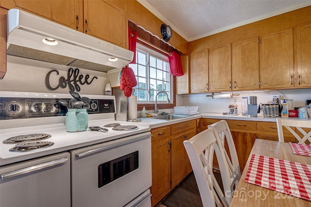 kitchen featuring range with two ovens, brown cabinets, light countertops, a sink, and under cabinet range hood