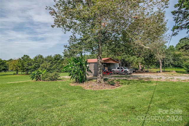 view of yard featuring driveway