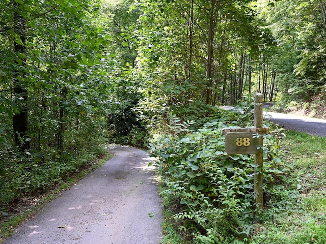 view of road