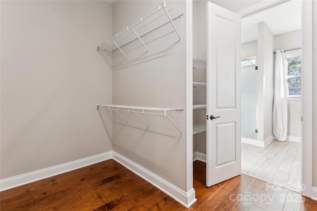 walk in closet featuring wood finished floors