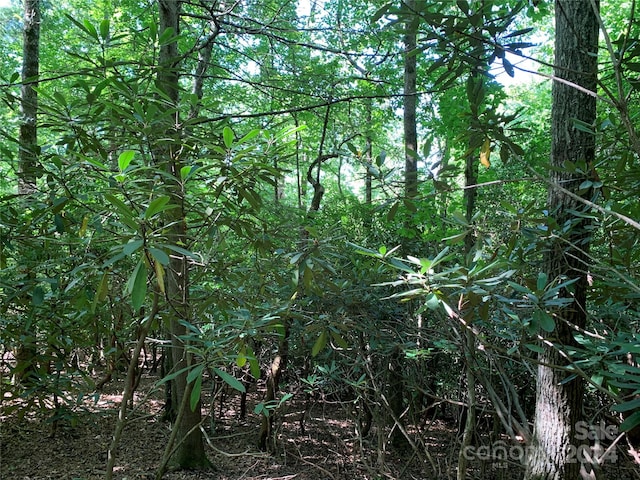 Listing photo 2 for LOT603C Kildrummy Dr, Pisgah Forest NC 28768