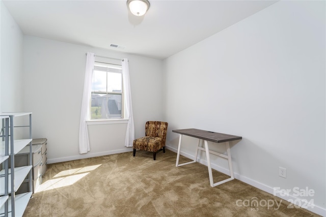 miscellaneous room with light carpet