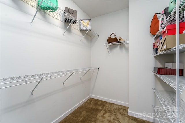 walk in closet featuring dark colored carpet