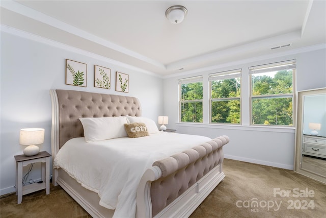 bedroom with a raised ceiling, carpet floors, and multiple windows