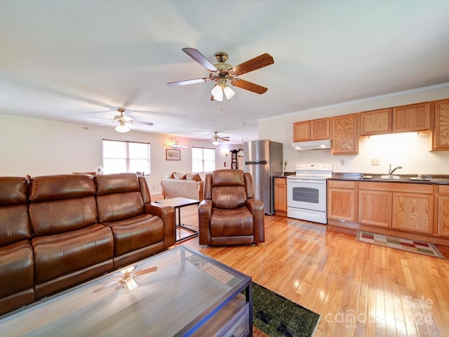 living room featuring ceiling fan, light hardwood / wood-style floors, and sink