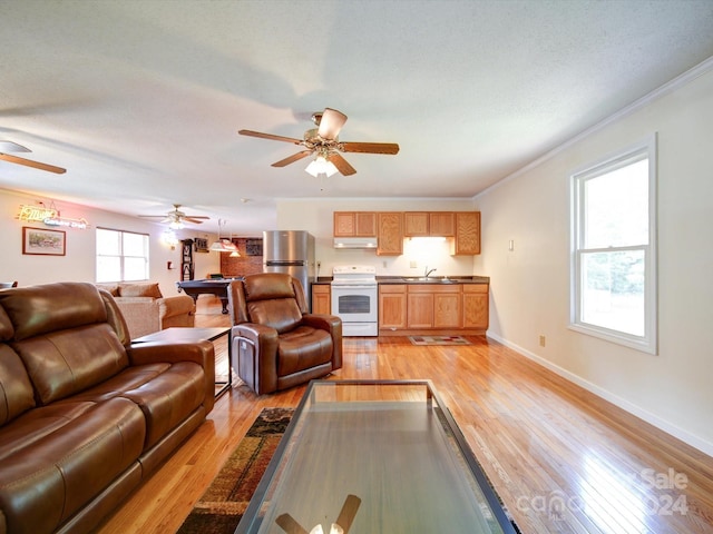 living room featuring ornamental molding, plenty of natural light, ceiling fan, and light hardwood / wood-style floors