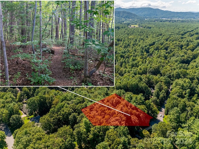 99999 Hickory Creek Ct Lot 8, Arden NC, 28704 land for sale