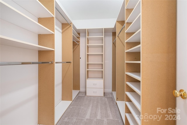 spacious closet featuring light colored carpet