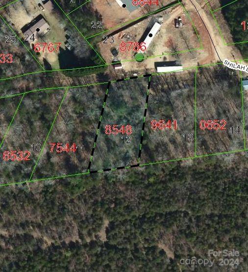 TBD Biggerstaff Loop Lot # 12, Nebo NC, 28761 land for sale