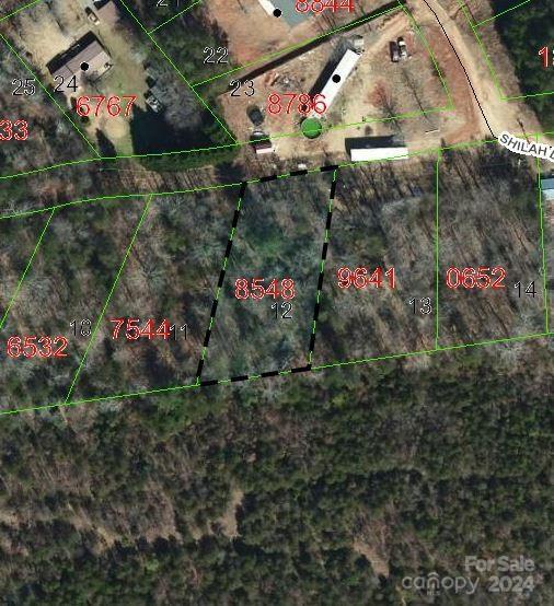 TBD Biggerstaff Loop Lot #12, Nebo, NC 28761 - photo 1
