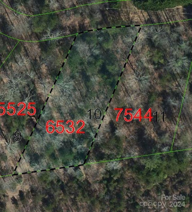 TBD Biggerstaff Loop Lot # 10, Nebo NC, 28761 land for sale