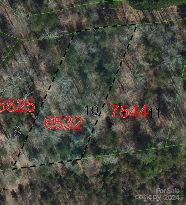 TBD Biggerstaff Loop Lot #10, Nebo, NC 28761 - photo 1
