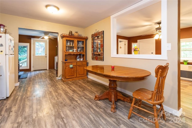 dining area with ceiling fan, hardwood / wood-style flooring, and a healthy amount of sunlight