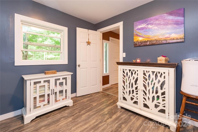 interior space with dark hardwood / wood-style floors