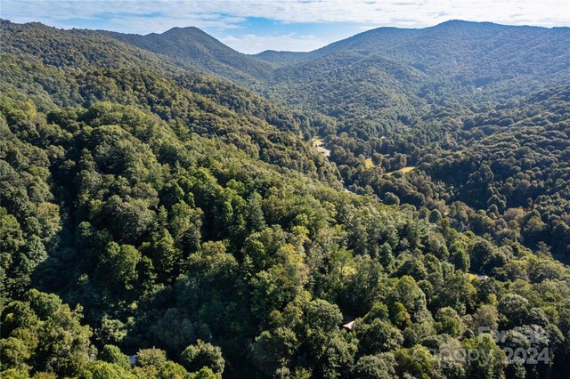 view of mountain feature