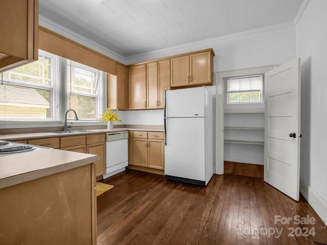 kitchen with sink, white appliances, dark hardwood / wood-style floors, and a healthy amount of sunlight