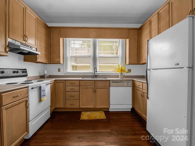 kitchen featuring sink, dark wood-type flooring, and white appliances