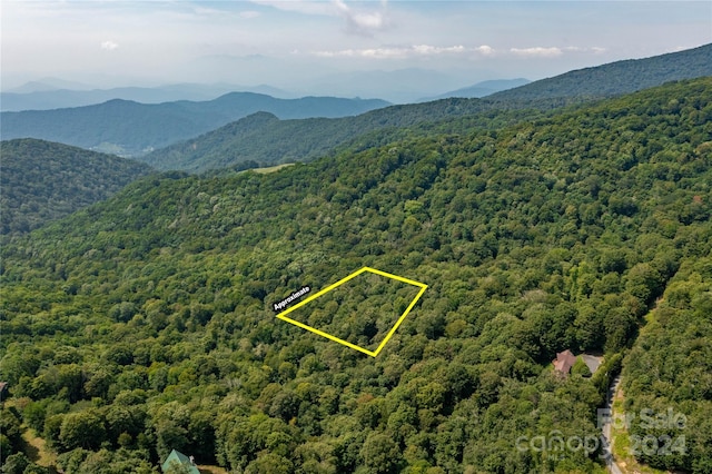 TBD Mule Trail Rd, Bakersville NC, 28705 land for sale