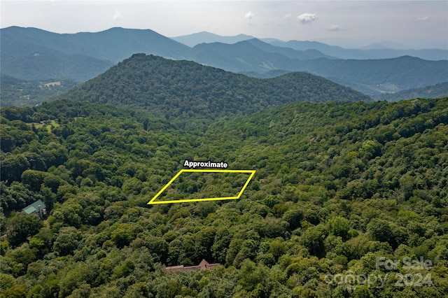 Listing photo 2 for TBD Mule Trail Rd, Bakersville NC 28705