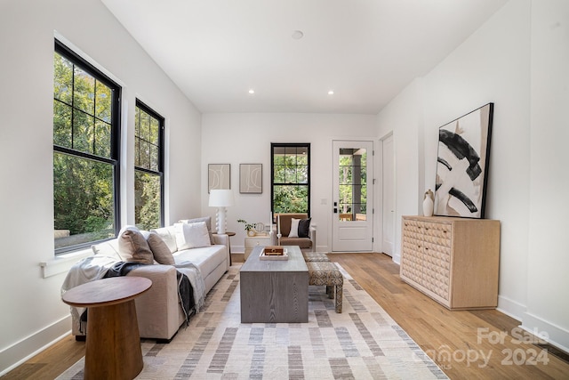 living room featuring a wealth of natural light and light hardwood / wood-style floors