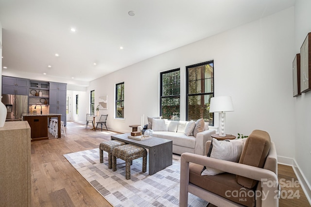 living room with sink, light hardwood / wood-style flooring, and a healthy amount of sunlight