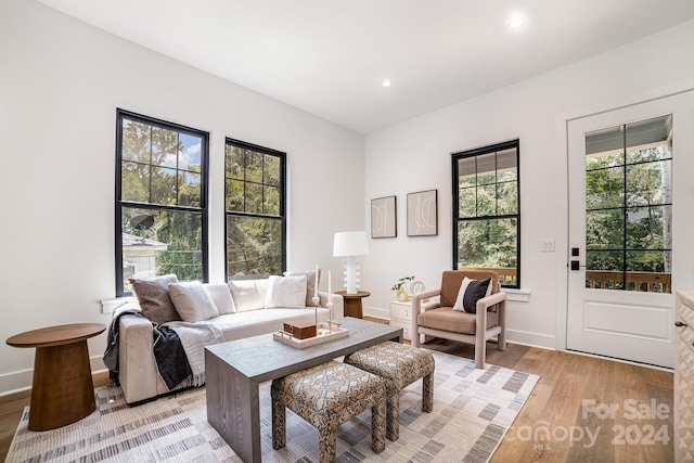 living room with light hardwood / wood-style floors and a healthy amount of sunlight