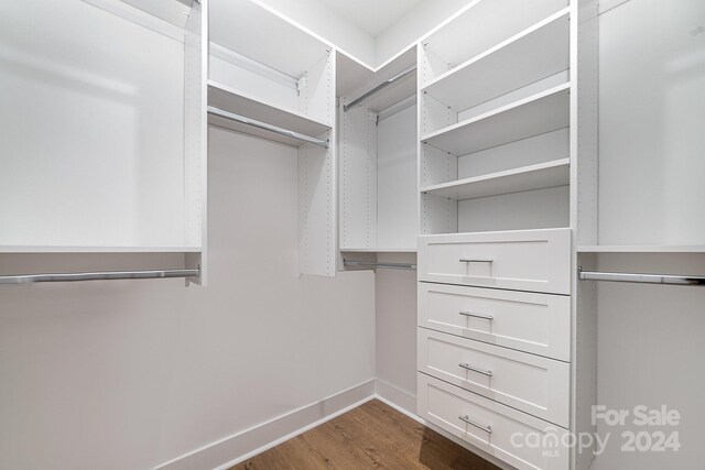 spacious closet with wood-type flooring