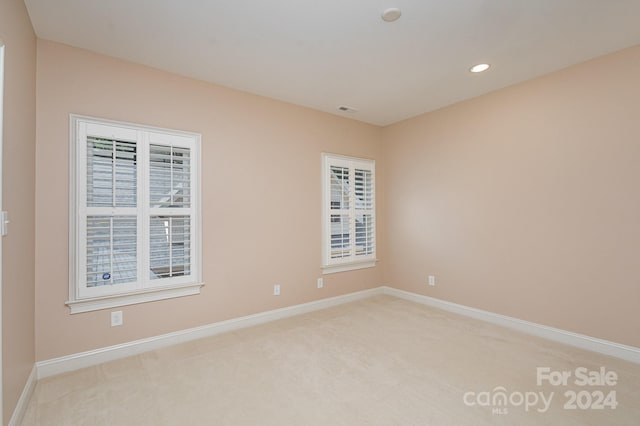 carpeted empty room with a wealth of natural light