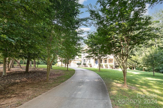 view of community featuring a lawn