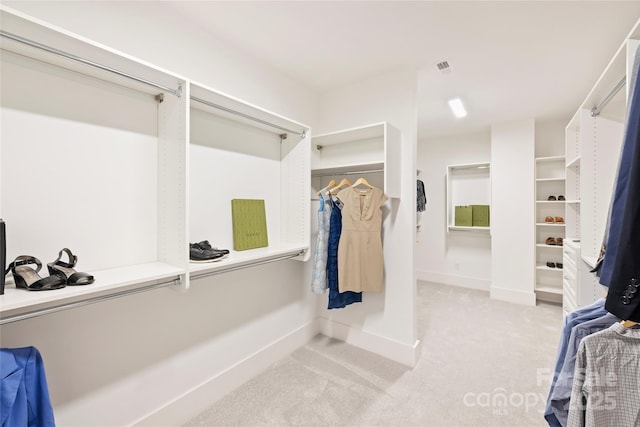 spacious closet with light colored carpet