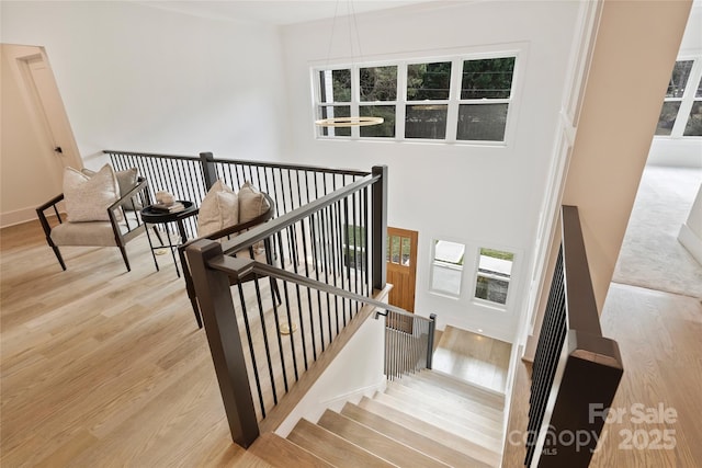 stairs with wood-type flooring