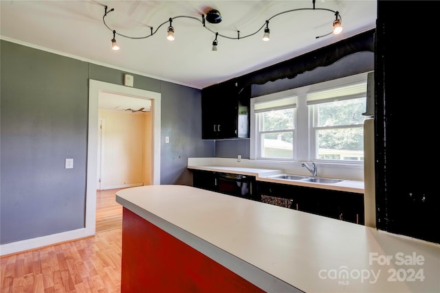 kitchen with dishwasher, light hardwood / wood-style floors, ornamental molding, and sink