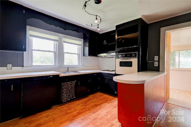 kitchen featuring light wood-type flooring, white appliances, sink, and exhaust hood