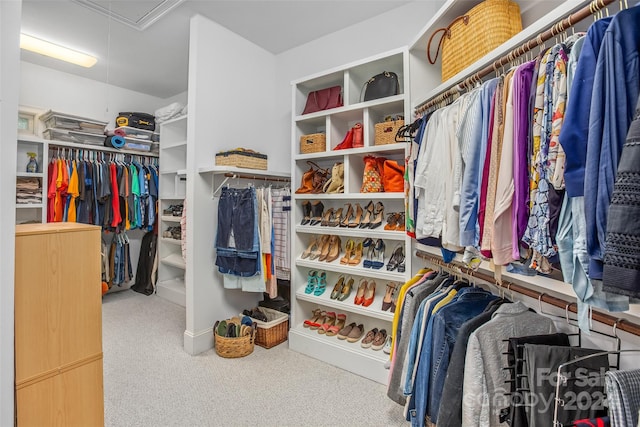 walk in closet with carpet flooring