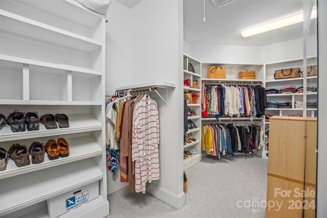 spacious closet featuring light colored carpet