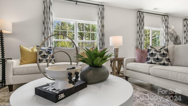 living room featuring plenty of natural light