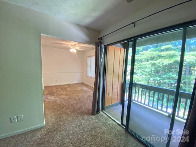 carpeted spare room featuring a healthy amount of sunlight