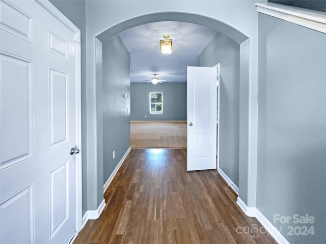 hallway with dark hardwood / wood-style flooring