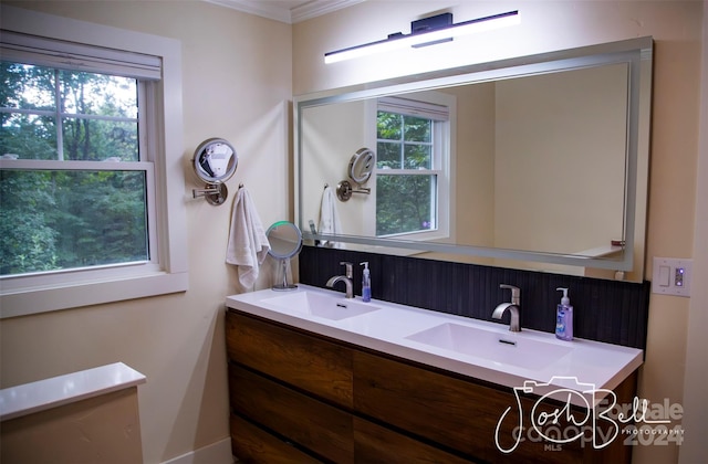 bathroom with vanity