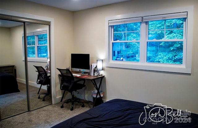 carpeted bedroom with a closet