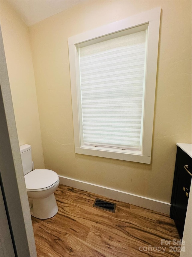 bathroom with vanity, hardwood / wood-style flooring, and toilet