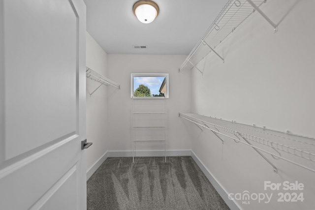 spacious closet with dark carpet