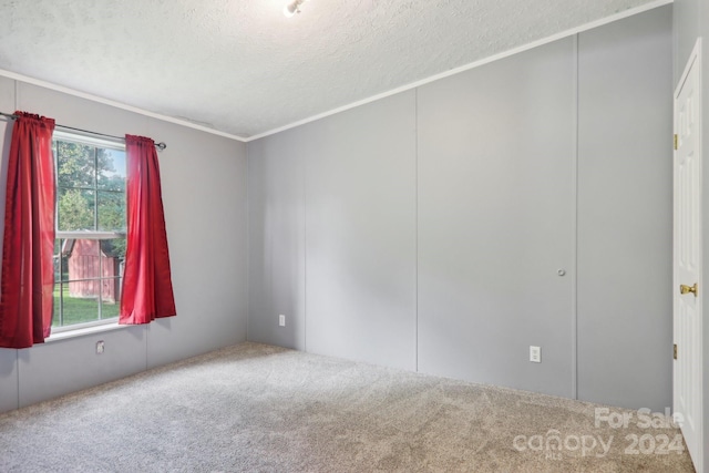 spare room with a textured ceiling, carpet, and ornamental molding