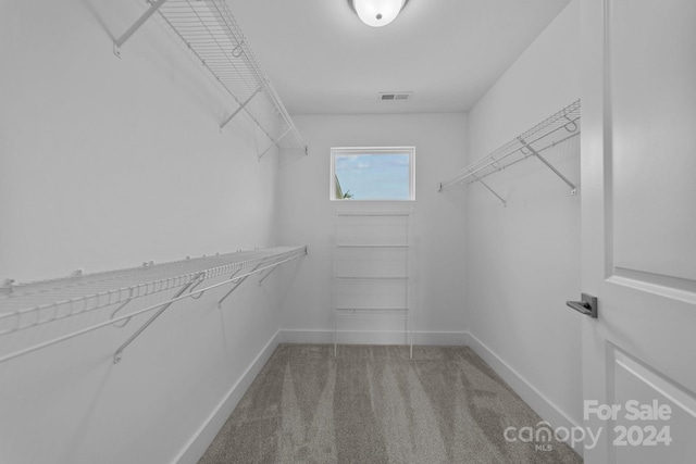 spacious closet featuring carpet floors