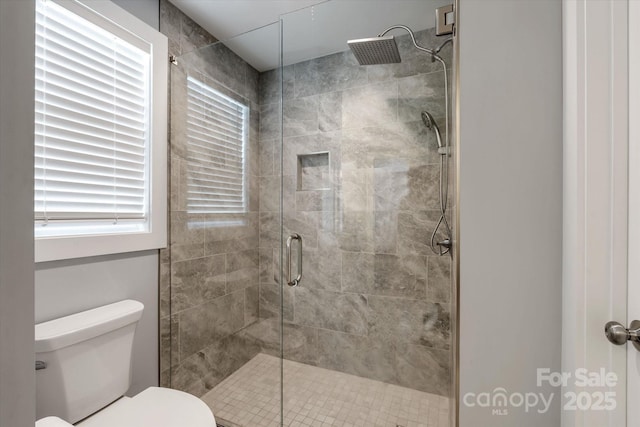 58 Greenwood Fields Dr, Asheville, NC 28804 - bathroom with a stall shower and toilet