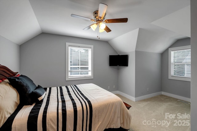 58 Greenwood Fields Dr, Asheville, NC 28804 - bedroom featuring light carpet, vaulted ceiling, baseboards, and multiple windows