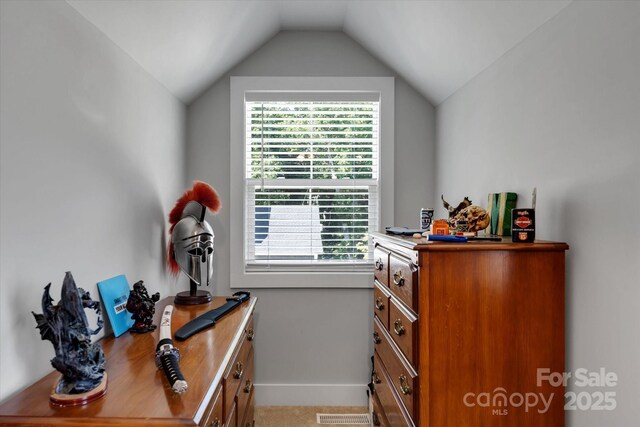 58 Greenwood Fields Dr, Asheville, NC 28804 - interior space featuring lofted ceiling, baseboards, and light colored carpet