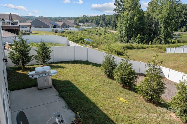 view of yard with a patio area