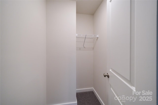 walk in closet with carpet